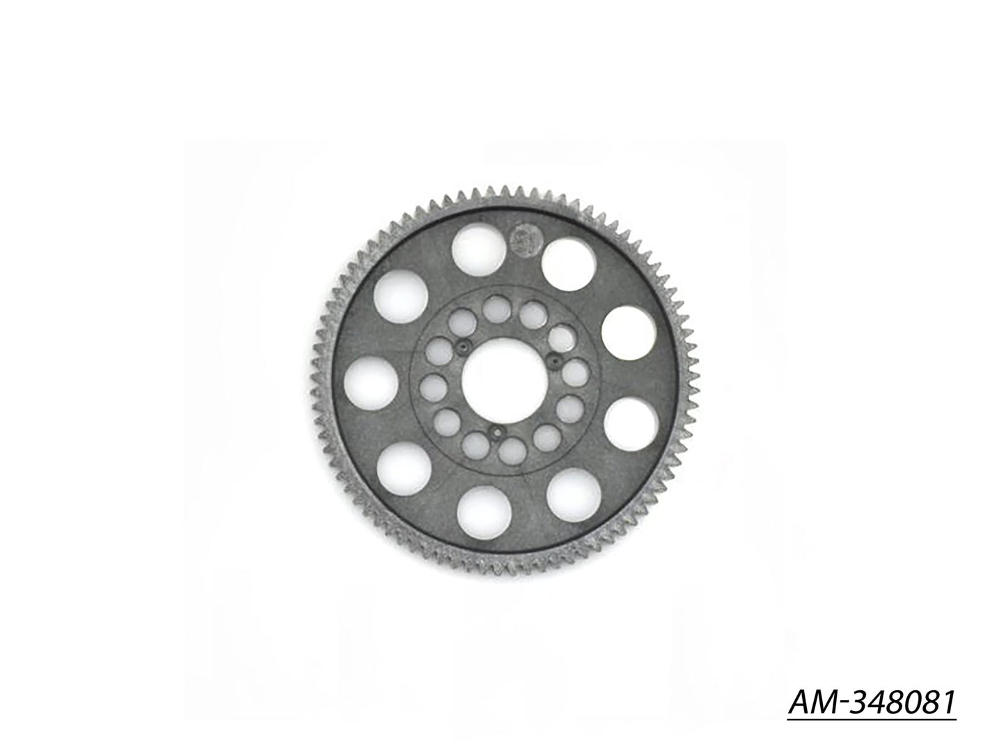 Spur Gear  48P  81T (AM-348081)