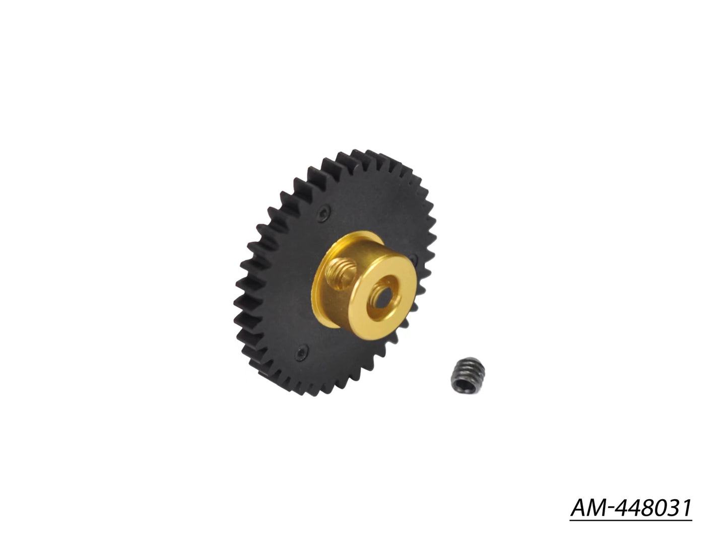 Pinion Gear 48P 31T?SL? (AM-448031)