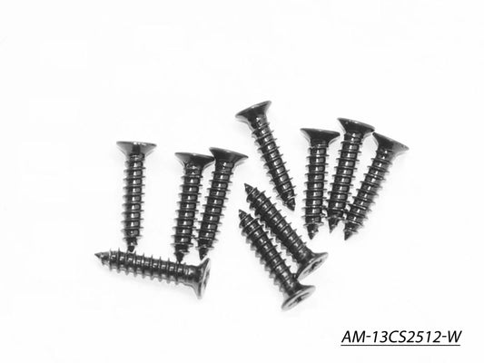 Screw Philipshead Countersunk Widethread M2.5X12 (10) (AM-13CS2512-W)