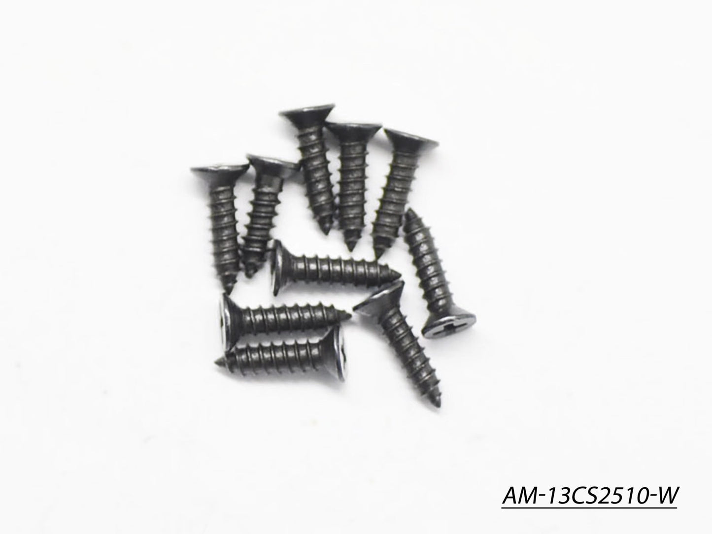 Screw Philipshead Countersunk Widethread M2.5X10 (10) (AM-13CS2510-W)