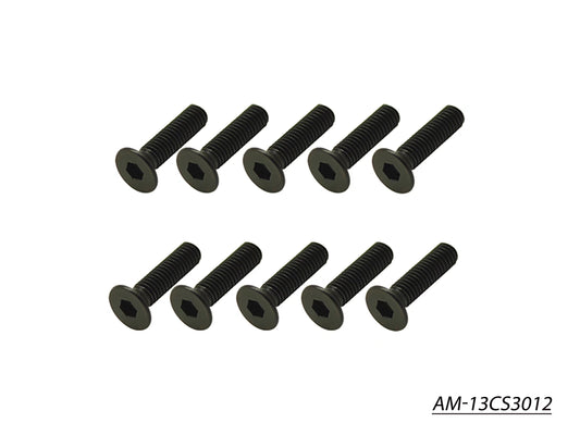 Screw Allen Countersunk M3X12 (10) (AM-13CS3012)